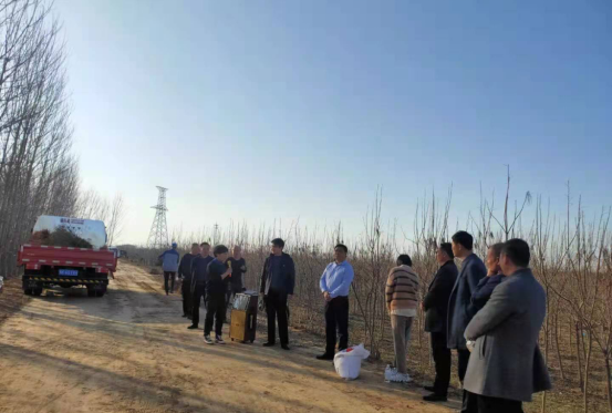 长葛市大周镇最新动态