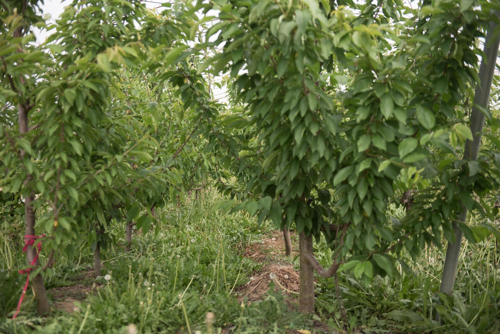 山东省事业单位改革最新消息