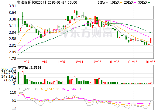 宝鹰股份增发最新消息