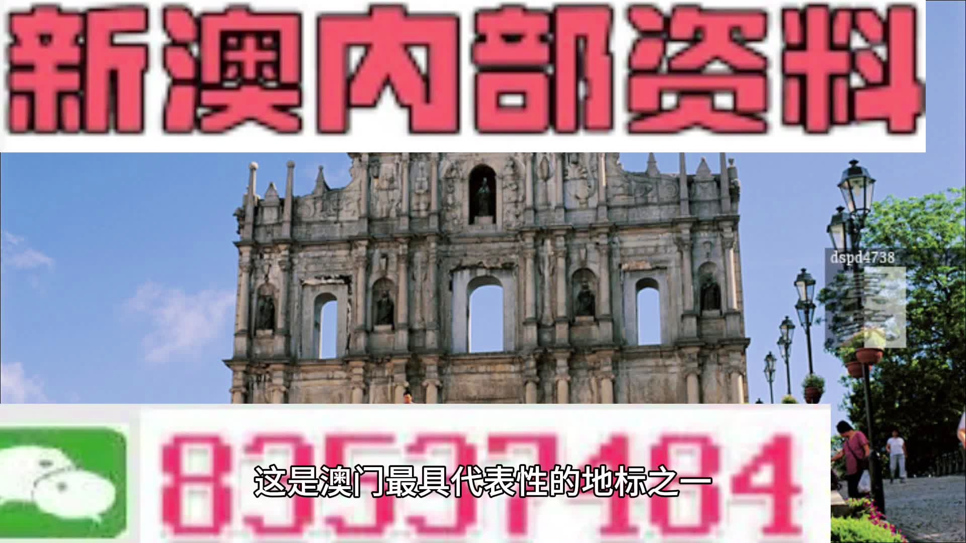 2025新澳门特免费资料的特点,探索2025新澳门特免费资料的特点